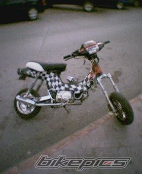 Photo 1103758