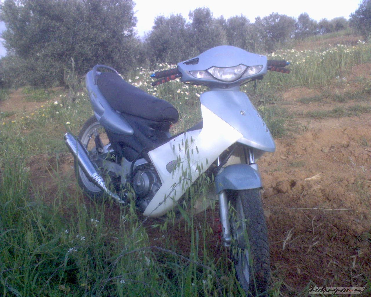 Photo 1103838