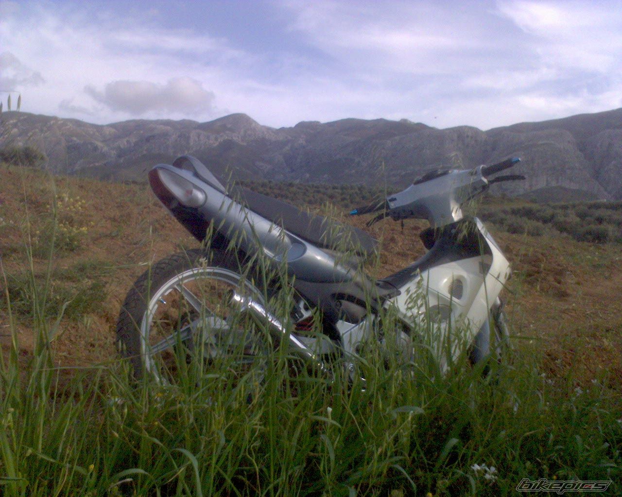 Photo 1103844