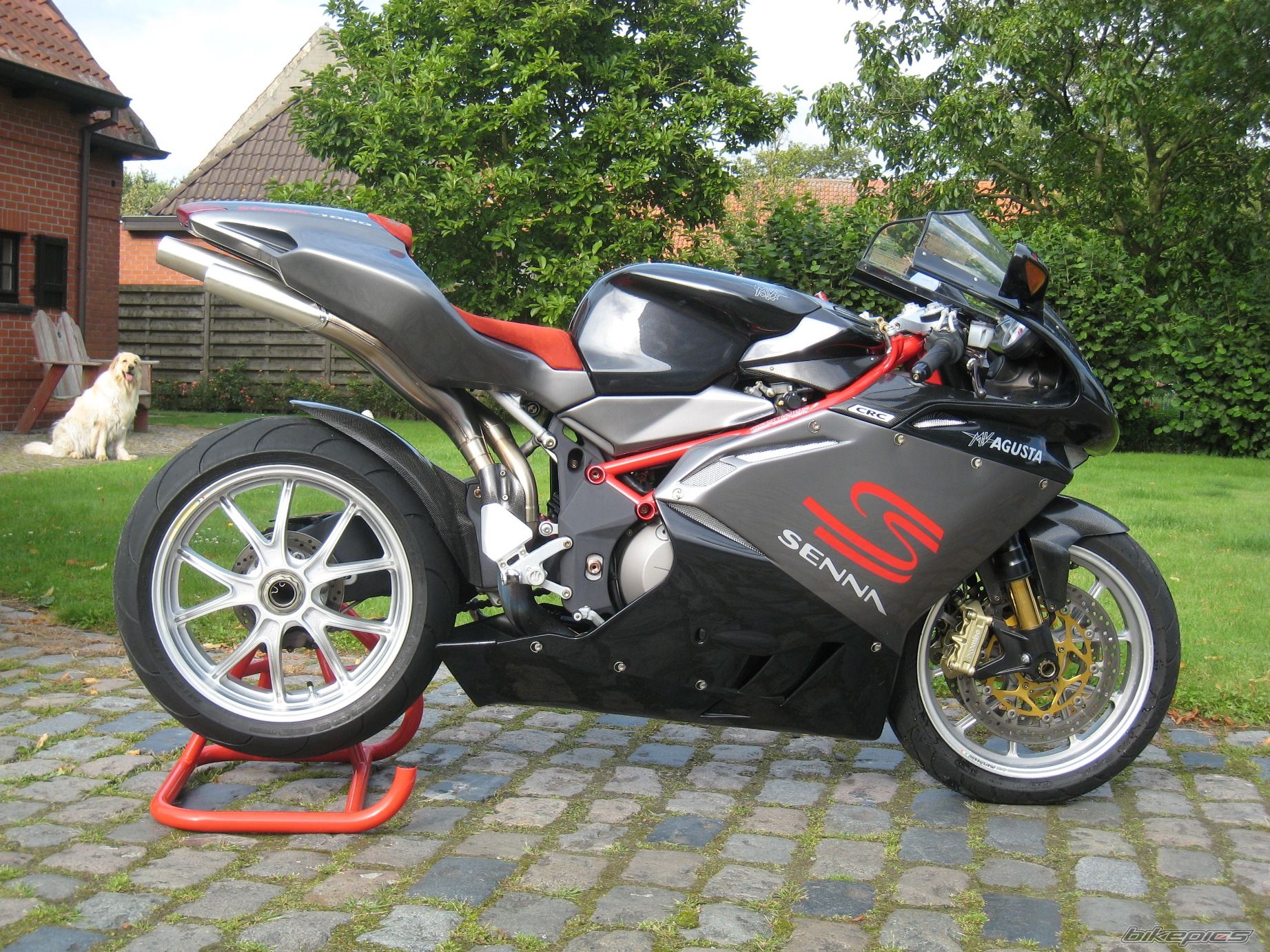 Bike Photo 1103903