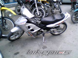 Photo 1103918