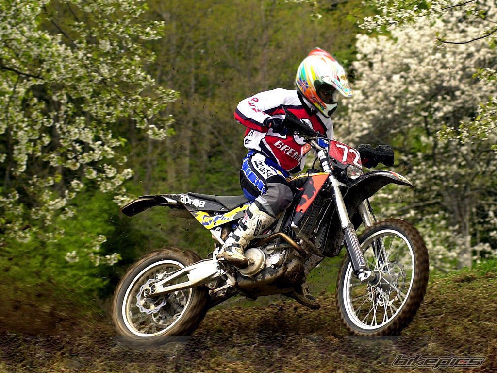 Bike Photo 1103993