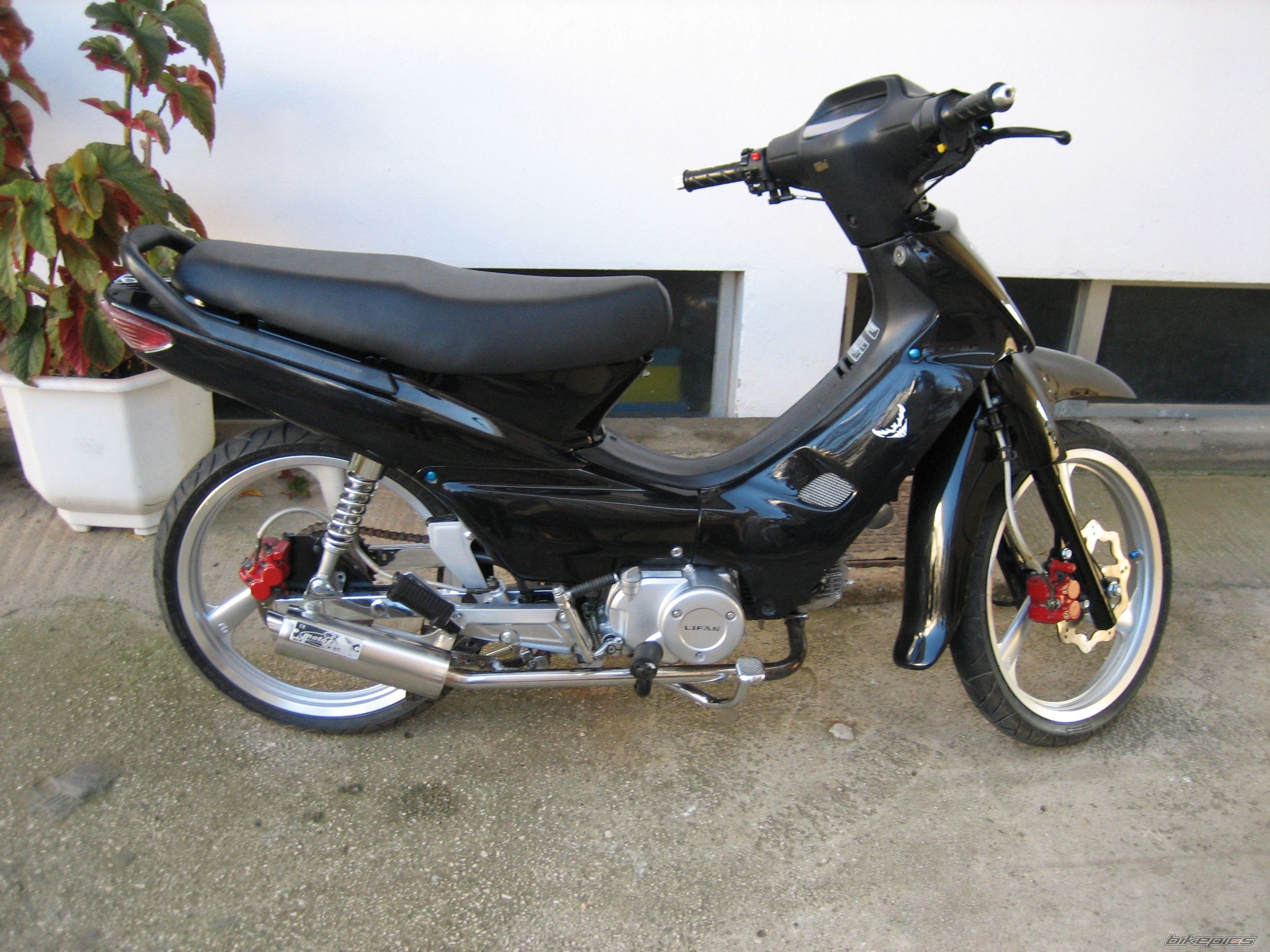 Photo 1104004
