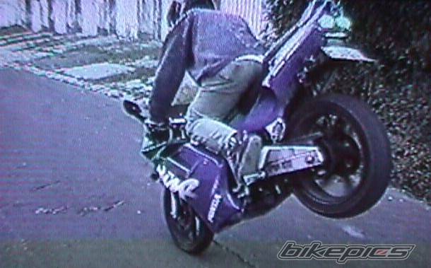 Photo 11042