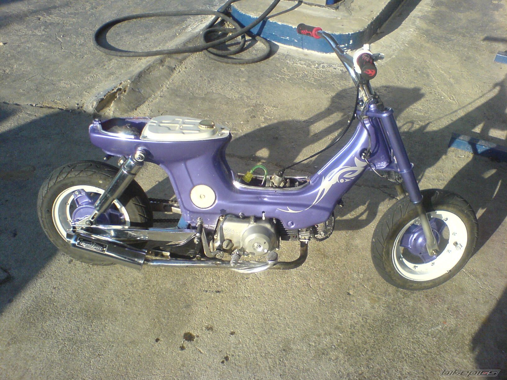 Photo 1104439