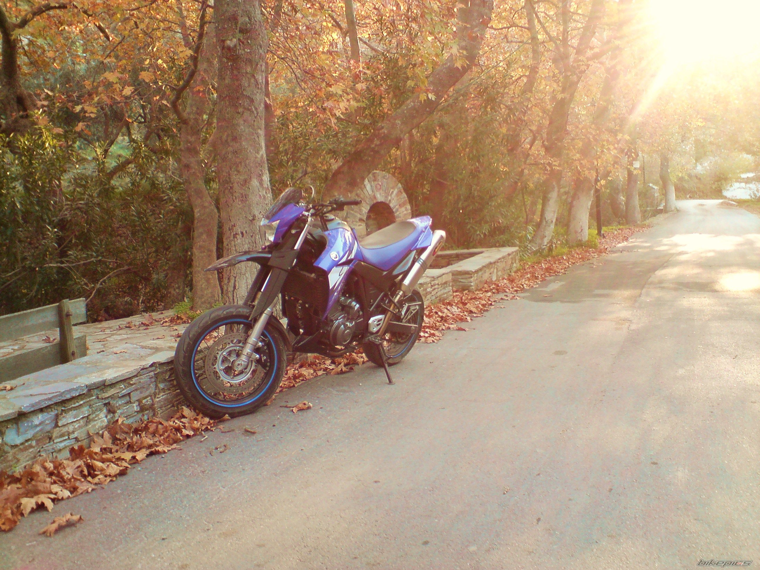 Photo 1104461