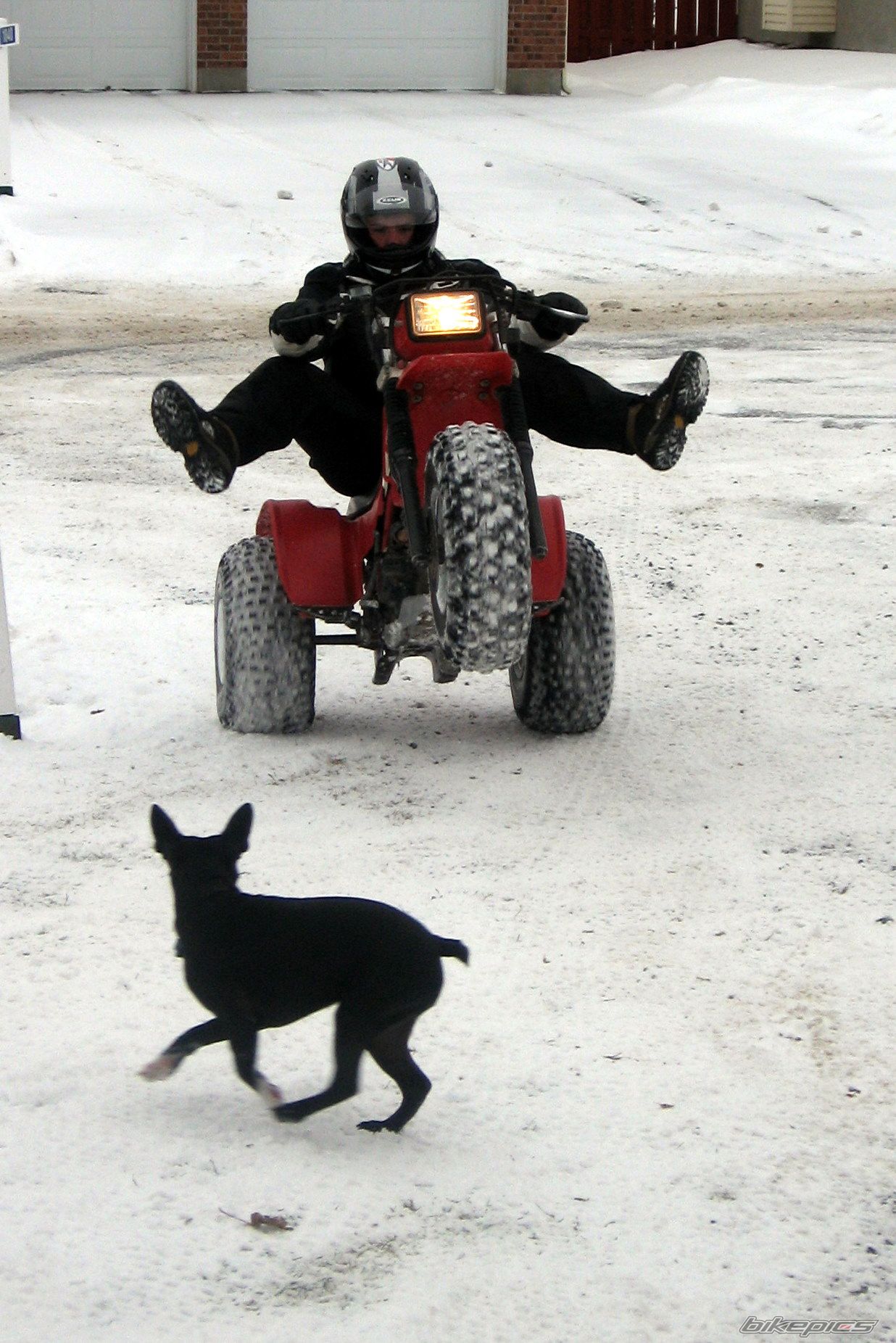 Photo 1104496