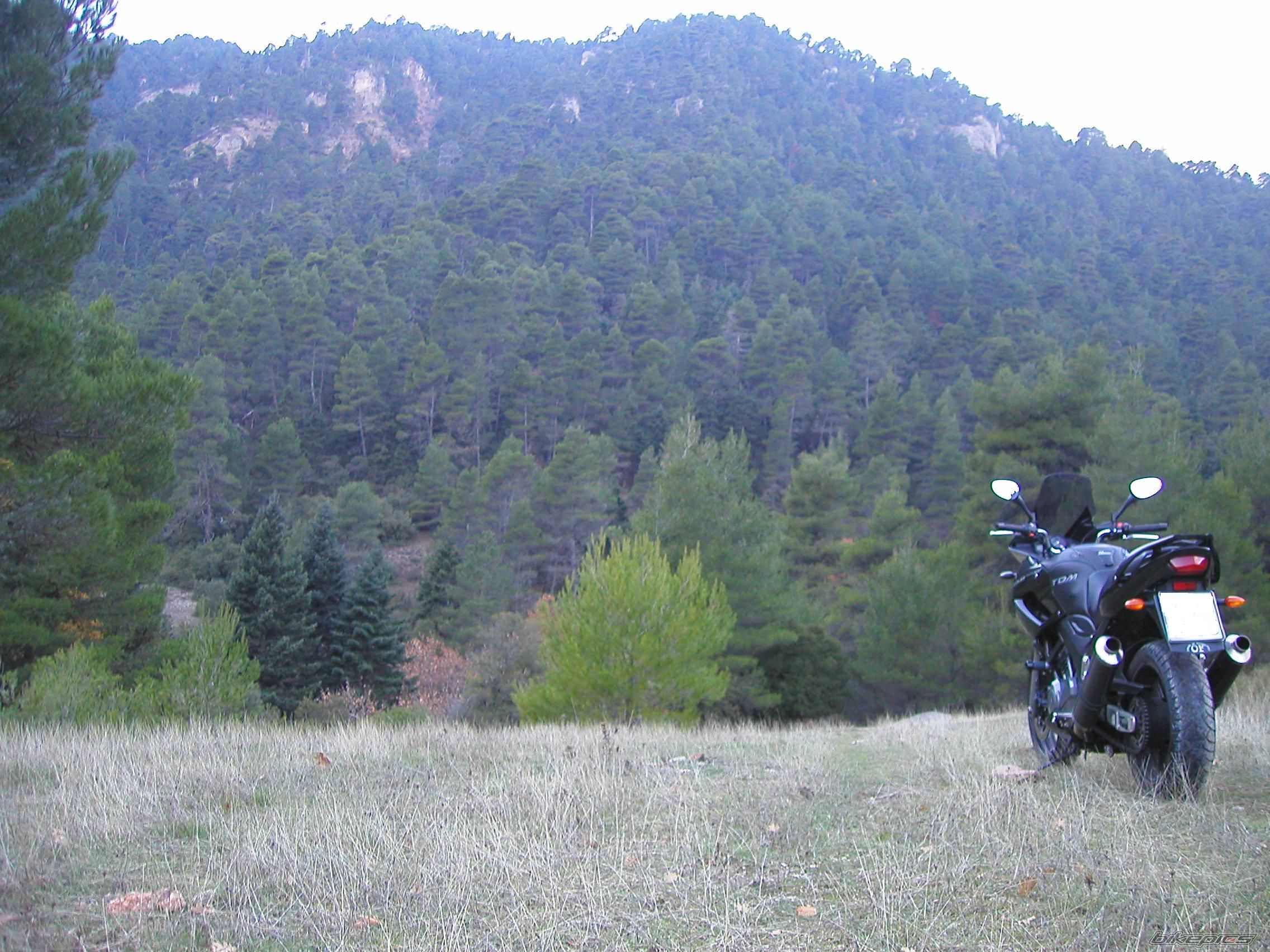 Bike Photo 1104503