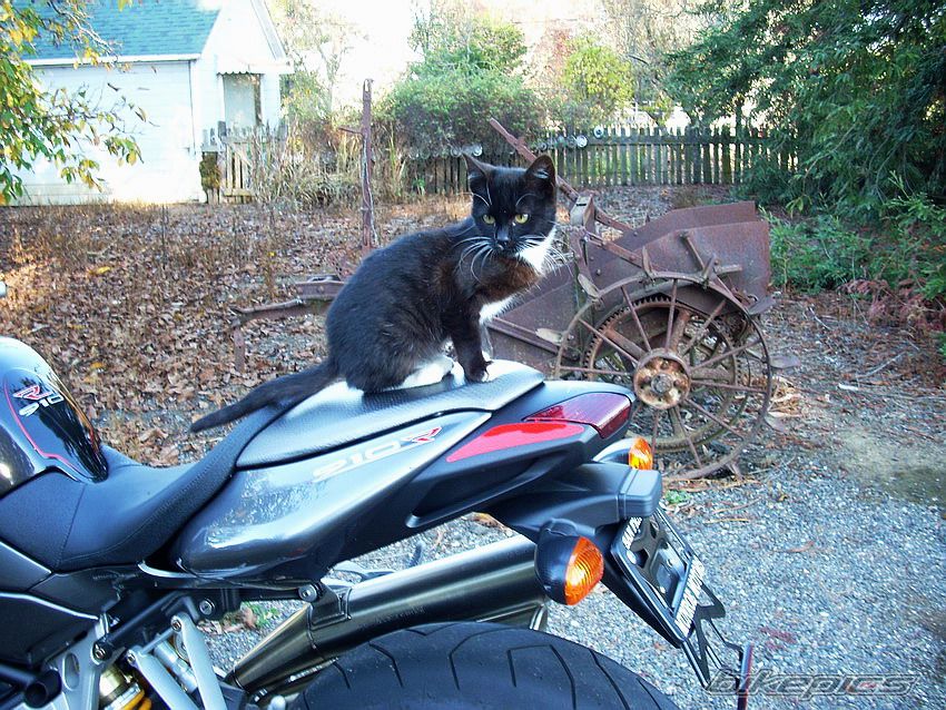 Bike Photo 1104521