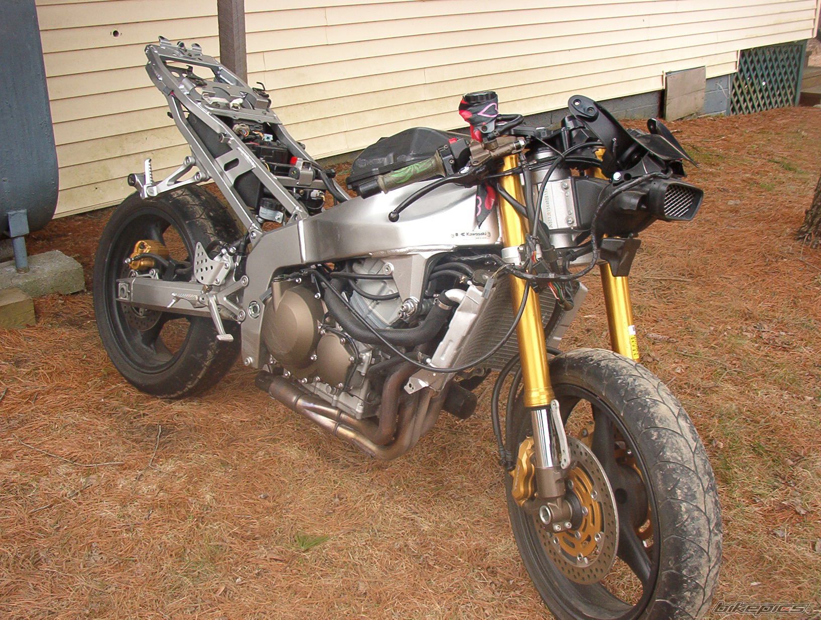 Photo 1104566