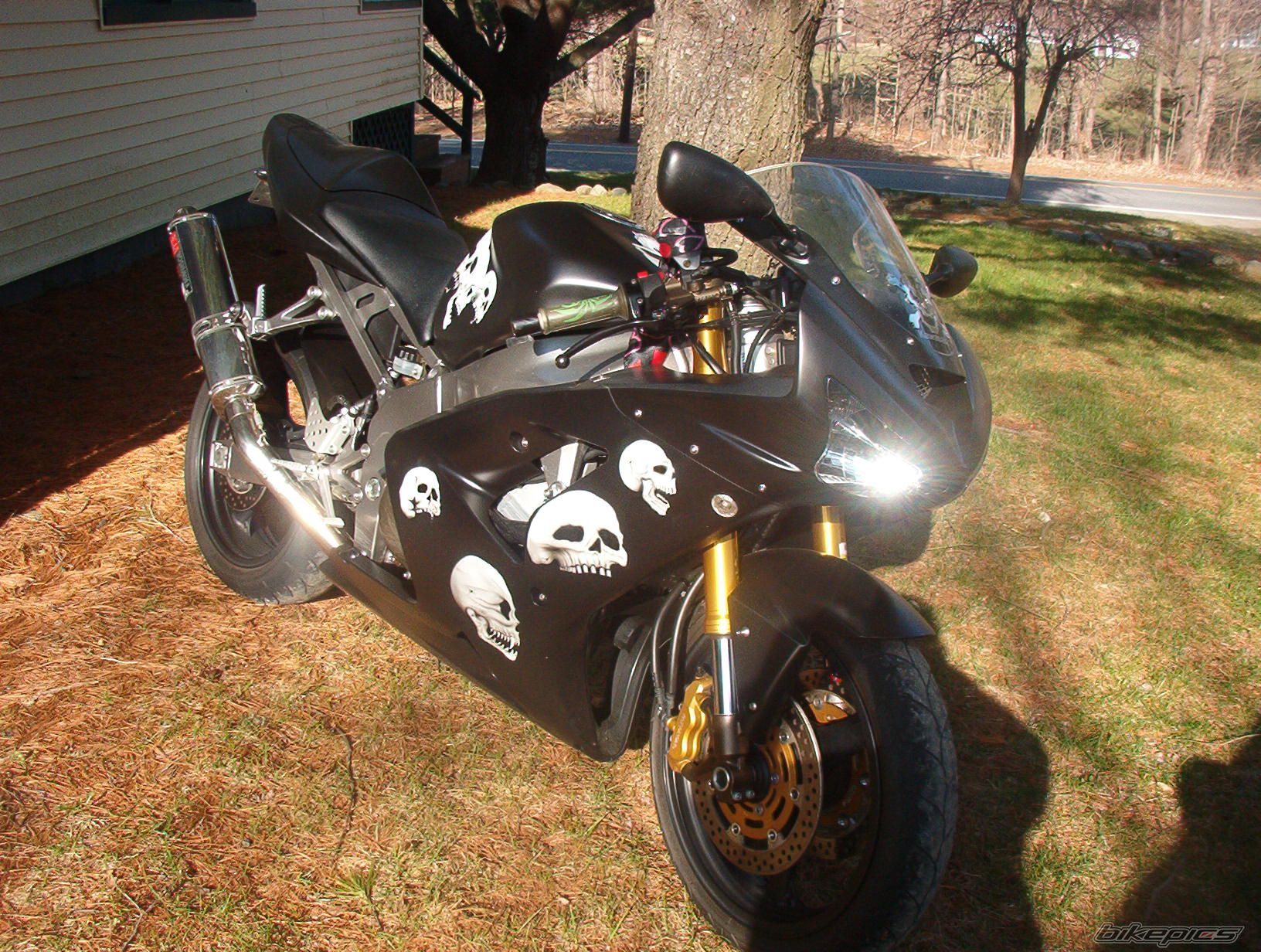 Photo 1104567