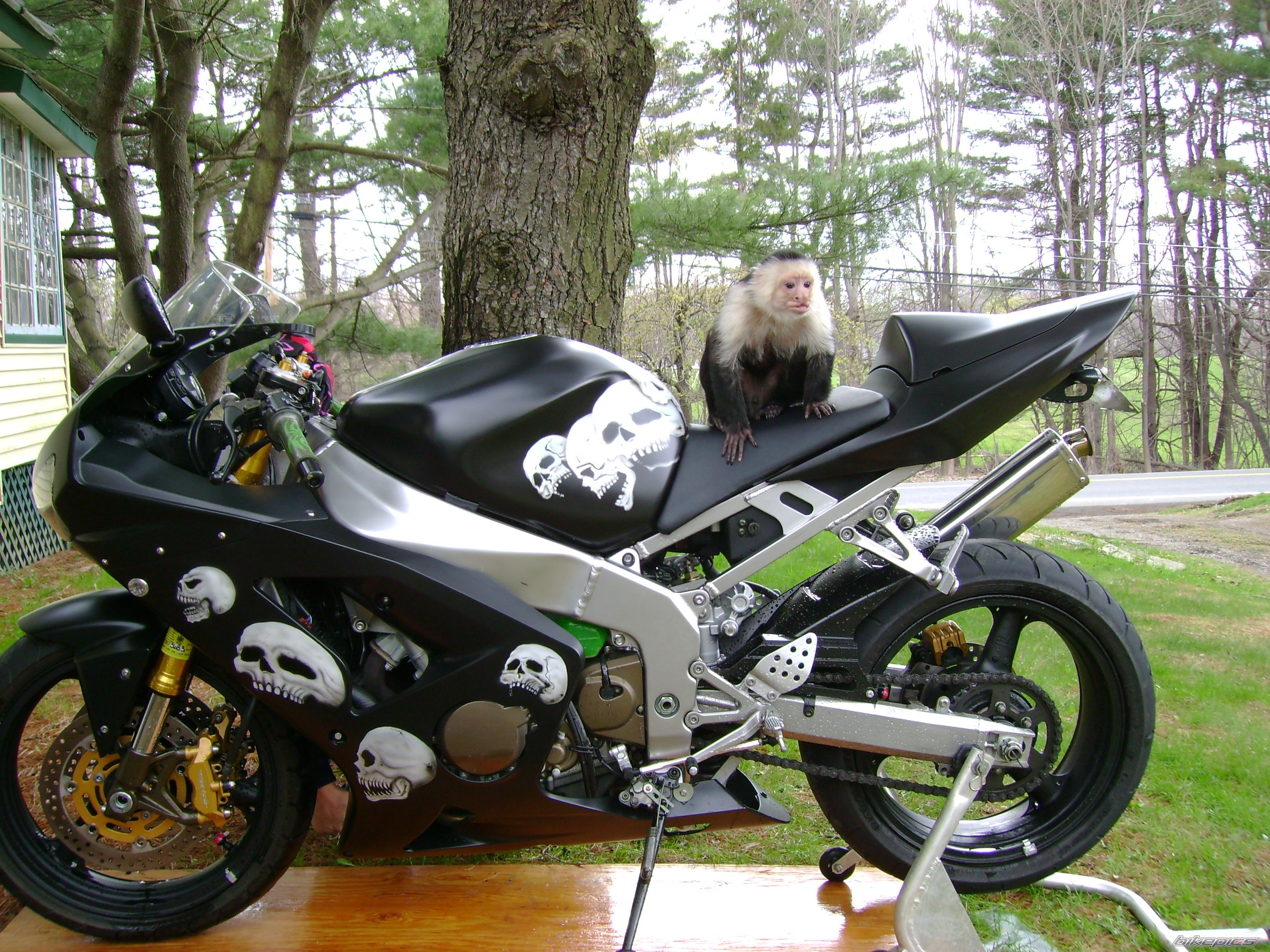 Photo 1104572