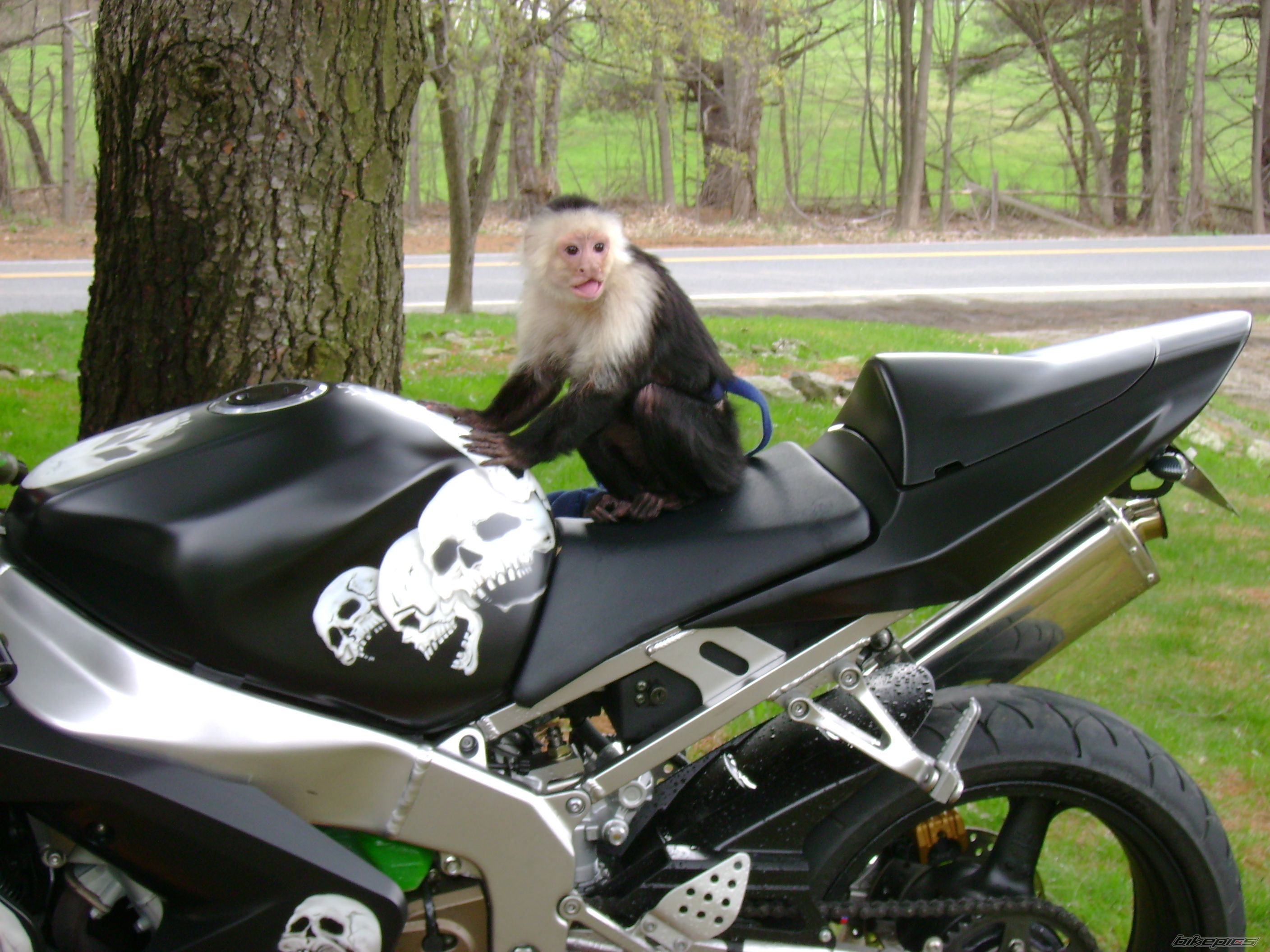 Photo 1104575