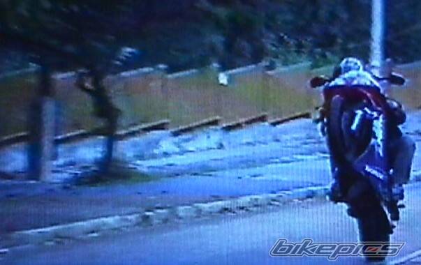 Photo 11046