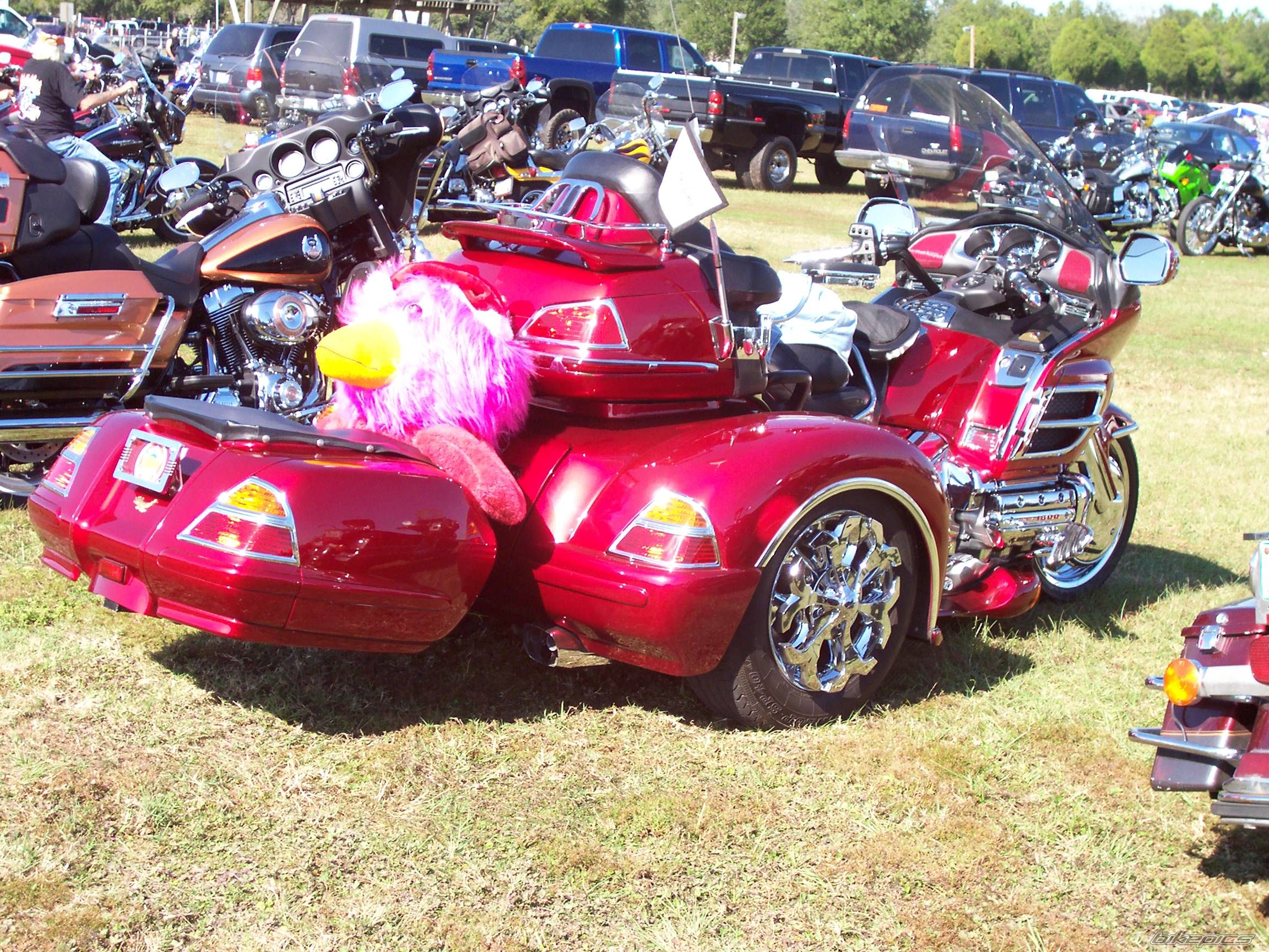 Photo 1104635