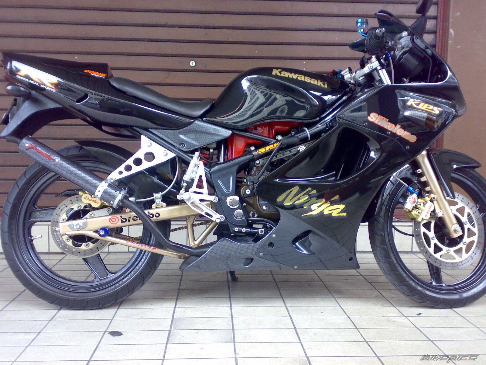 Photo 1104687