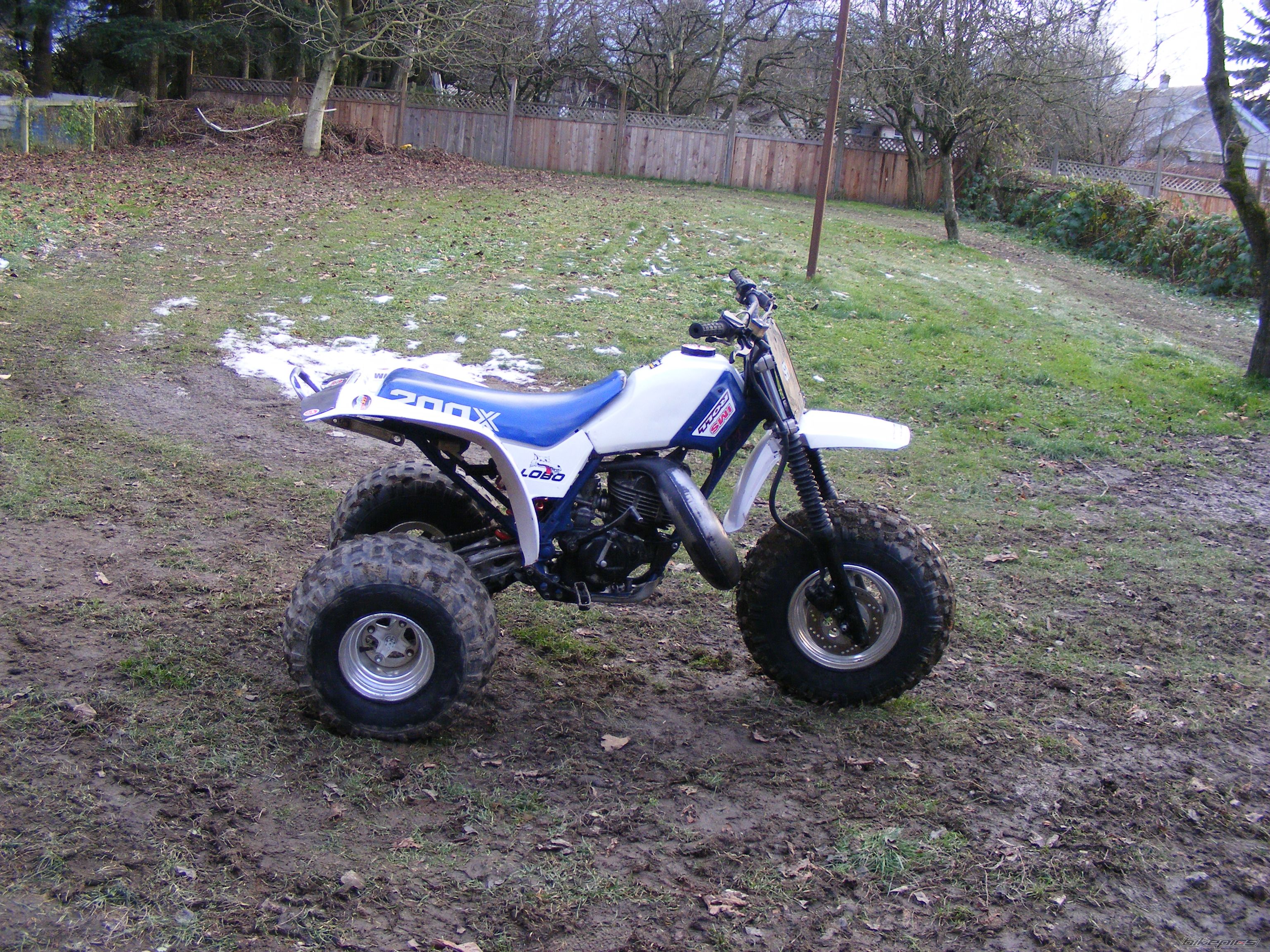 Photo 1104755