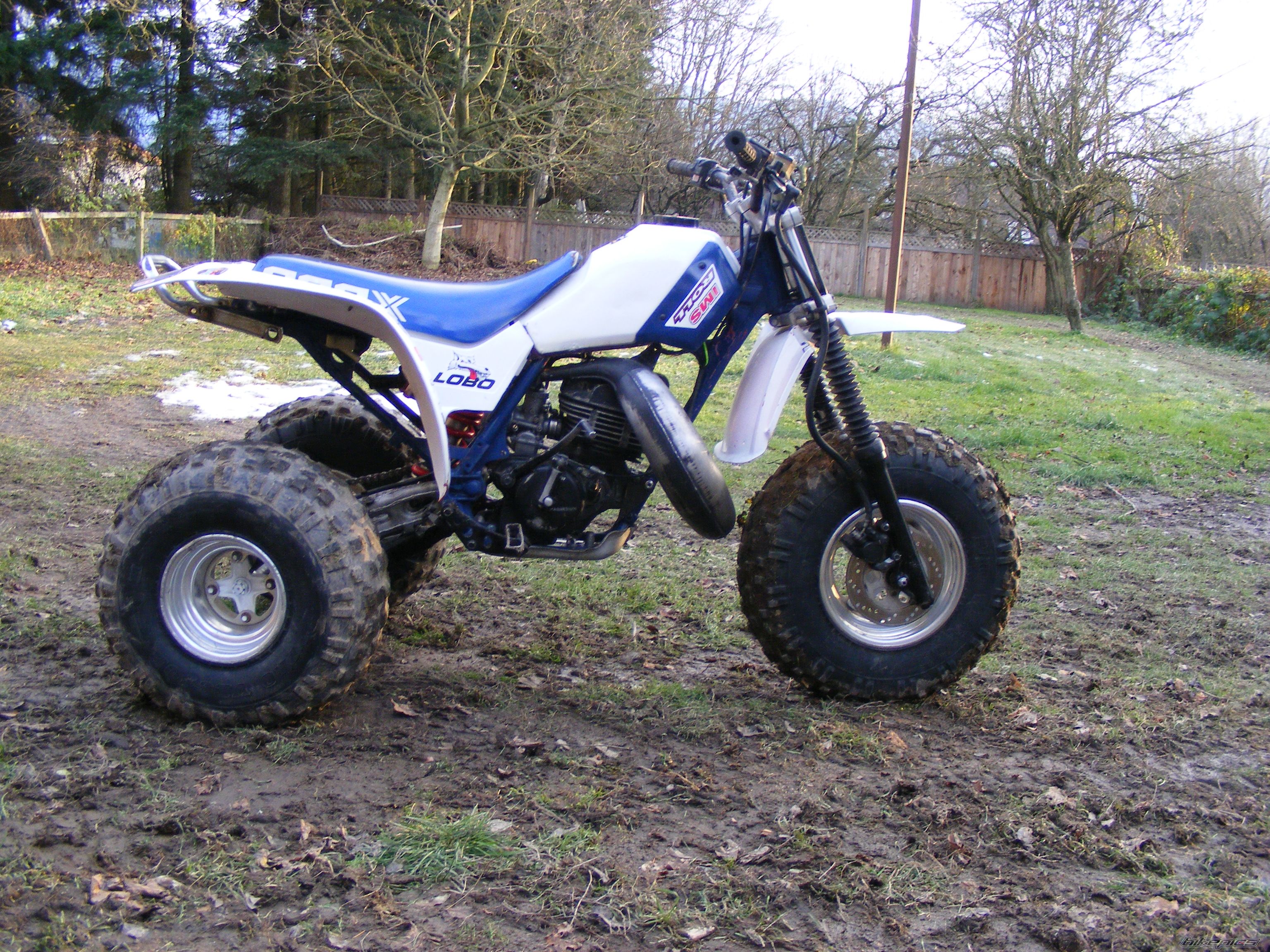 Photo 1104761