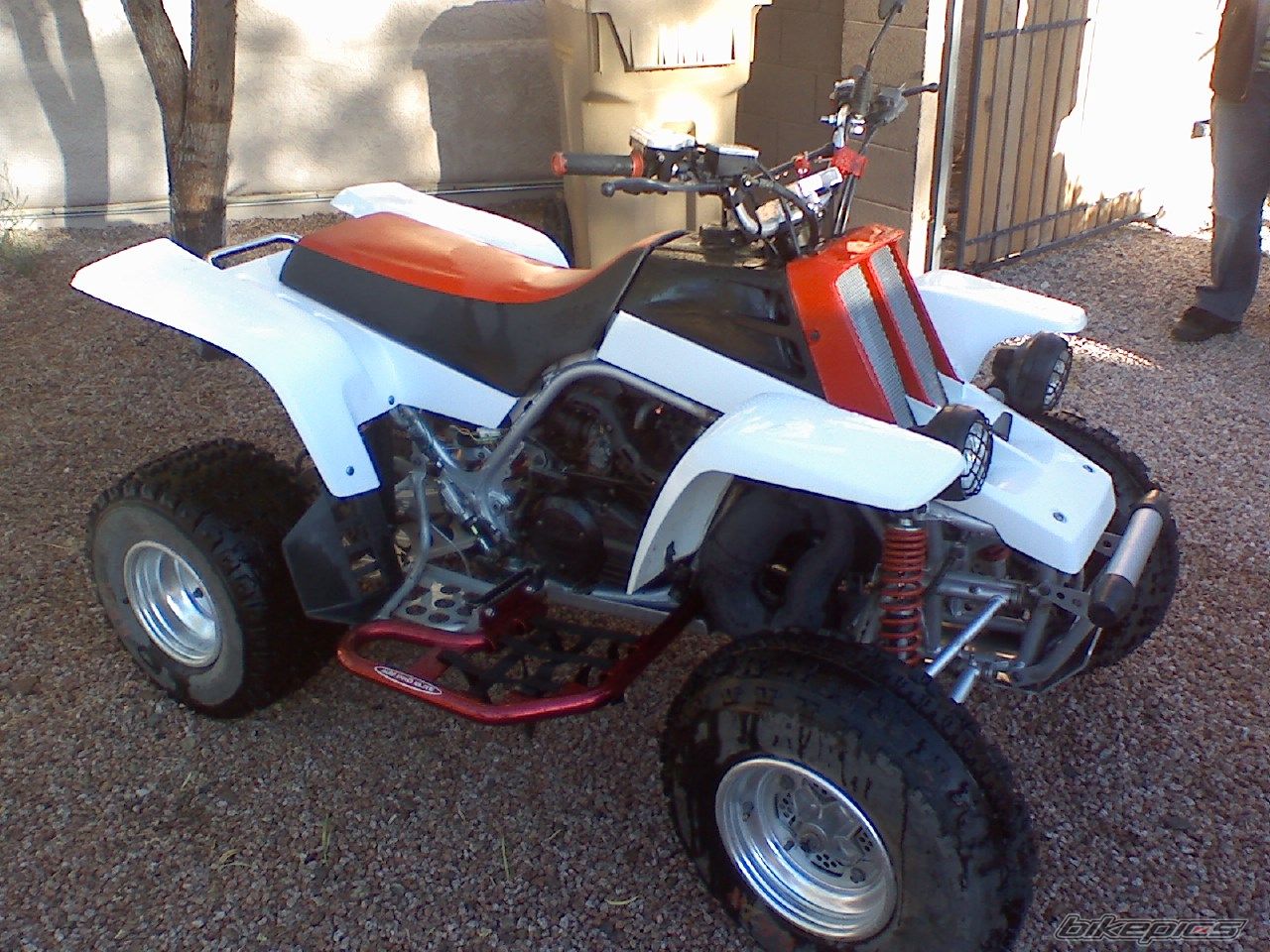 Photo 1104771