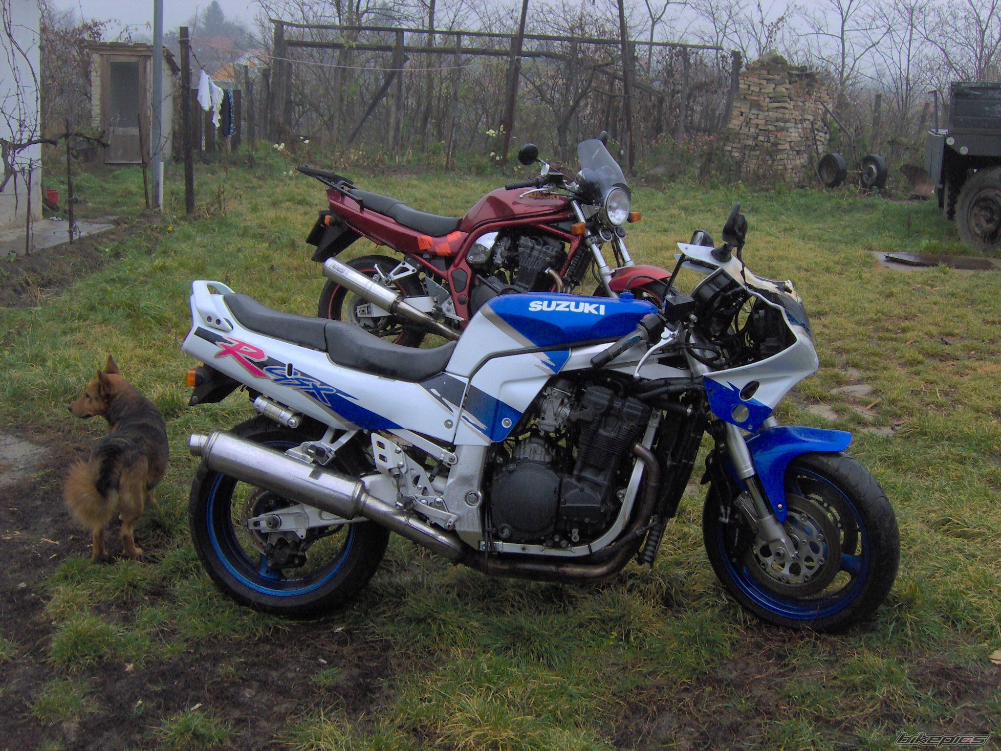 Photo 1104806