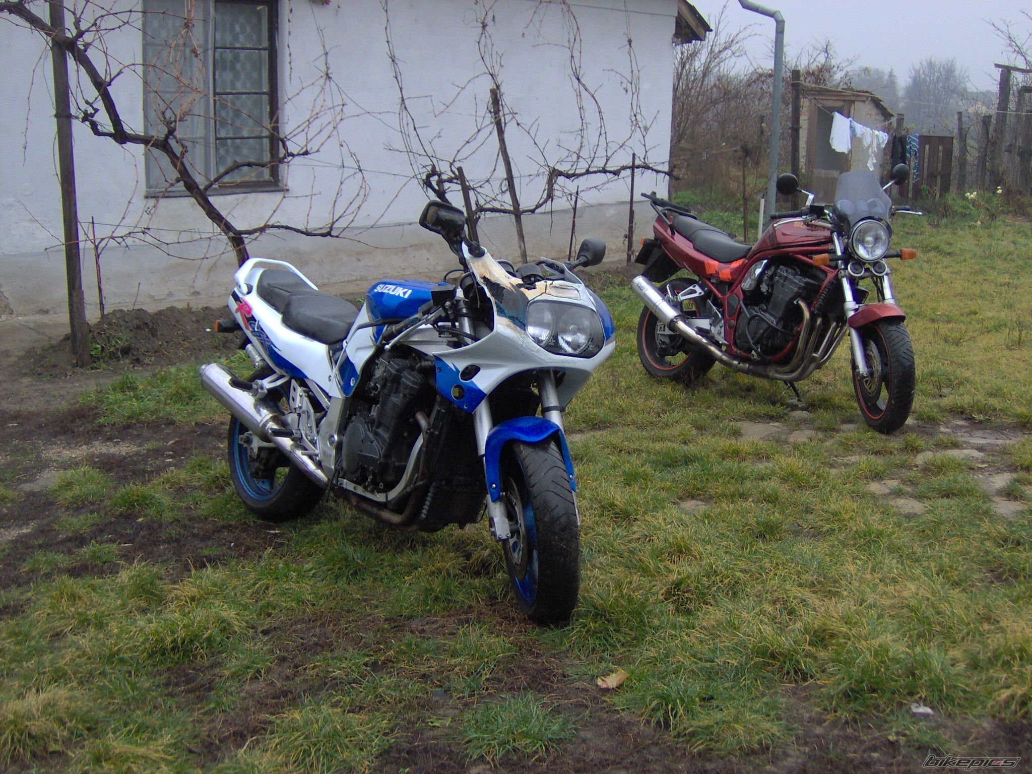 Photo 1104808