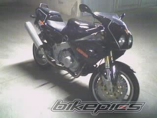 Photo 1104849