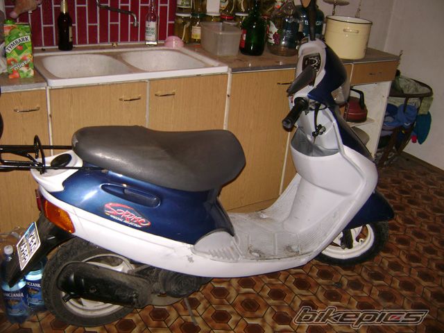 Photo 1105016