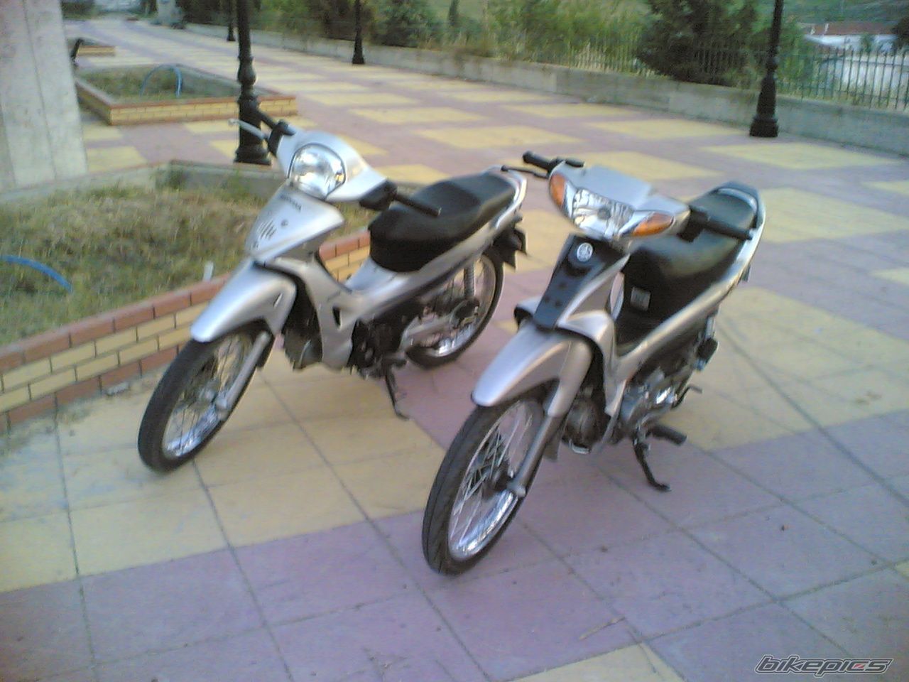 Photo 1105053