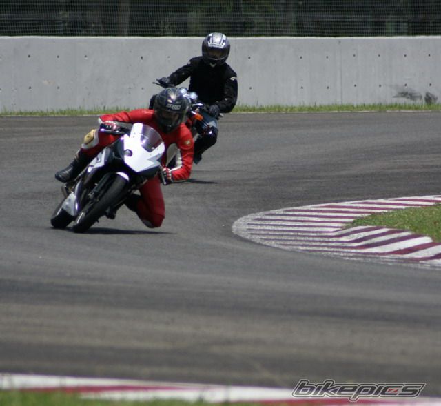 Photo 1105087