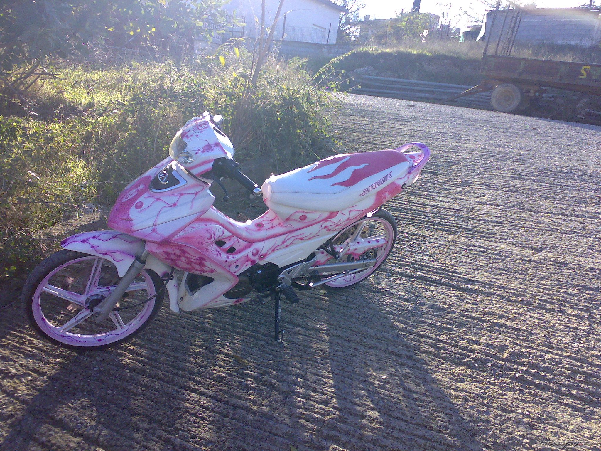 Photo 1105158