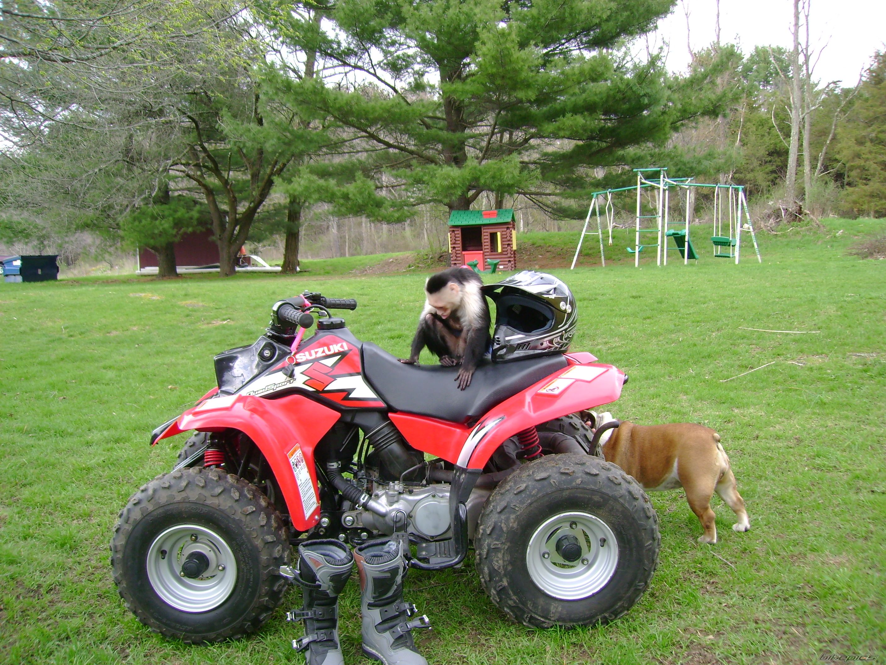 Photo 1105184