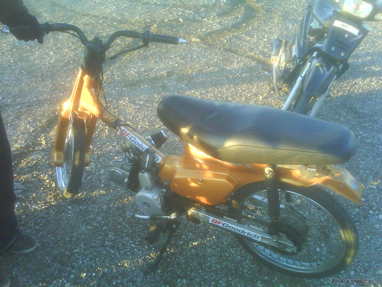 Photo 1105260