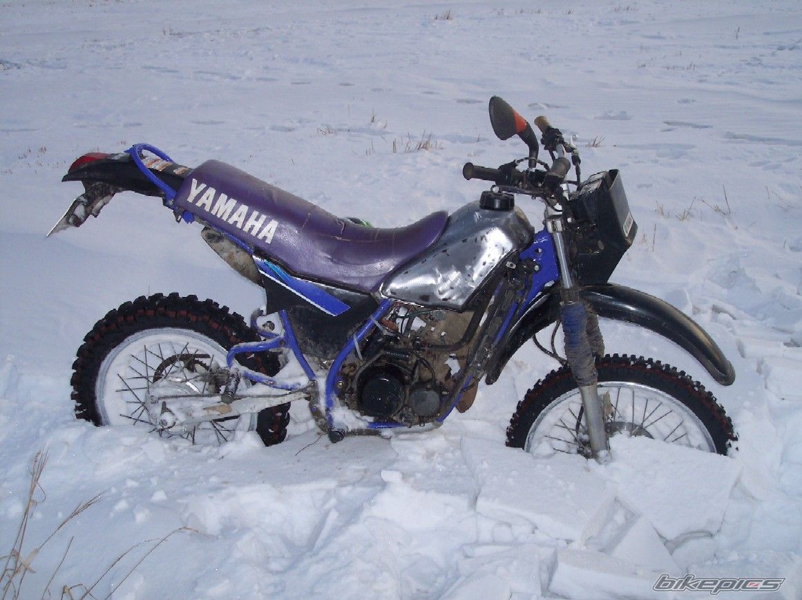 Photo 1105327