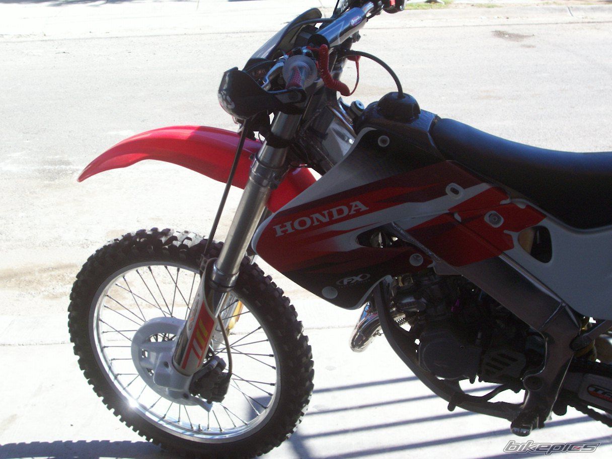 Photo 1105401