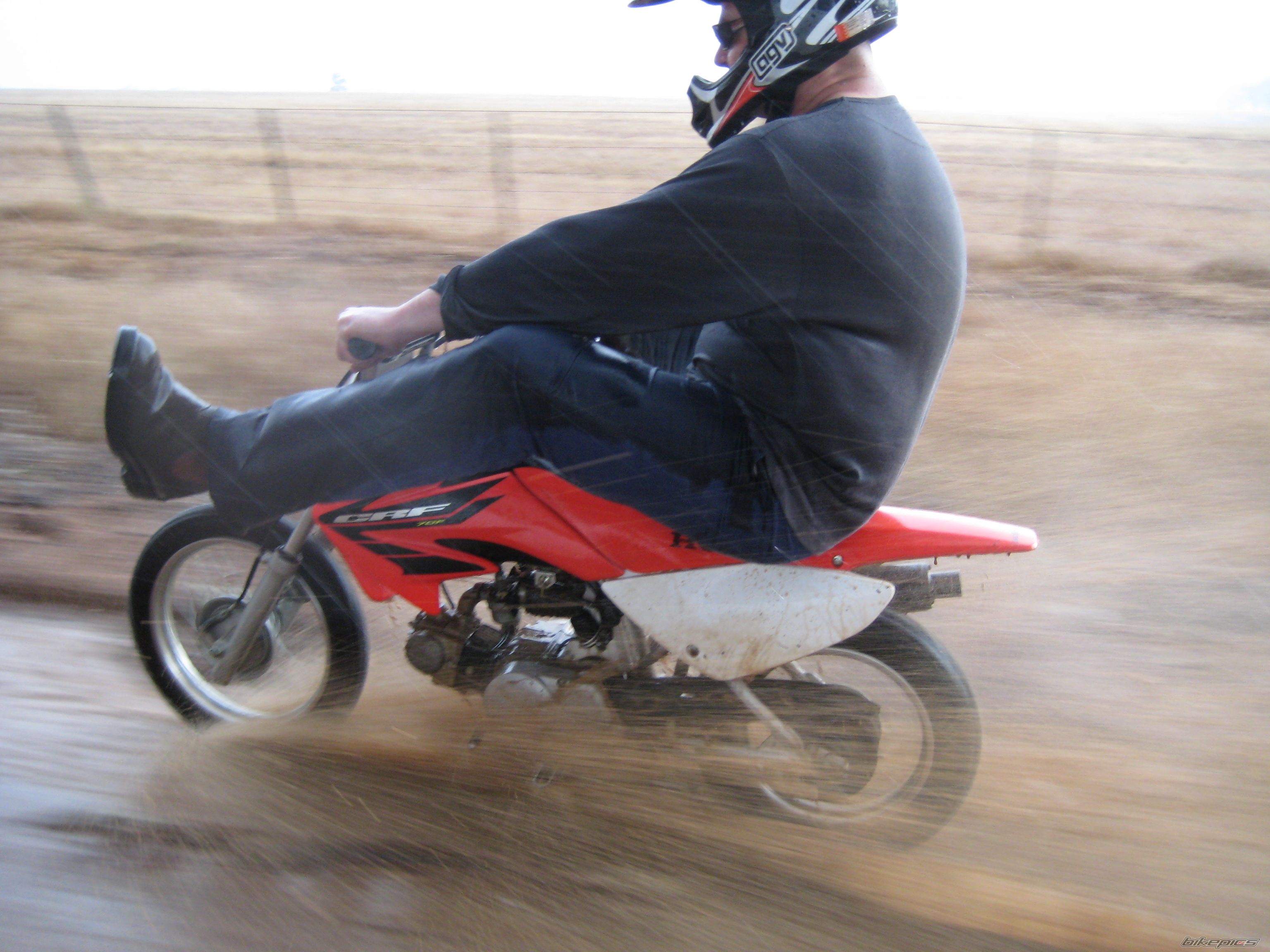 Photo 1105427