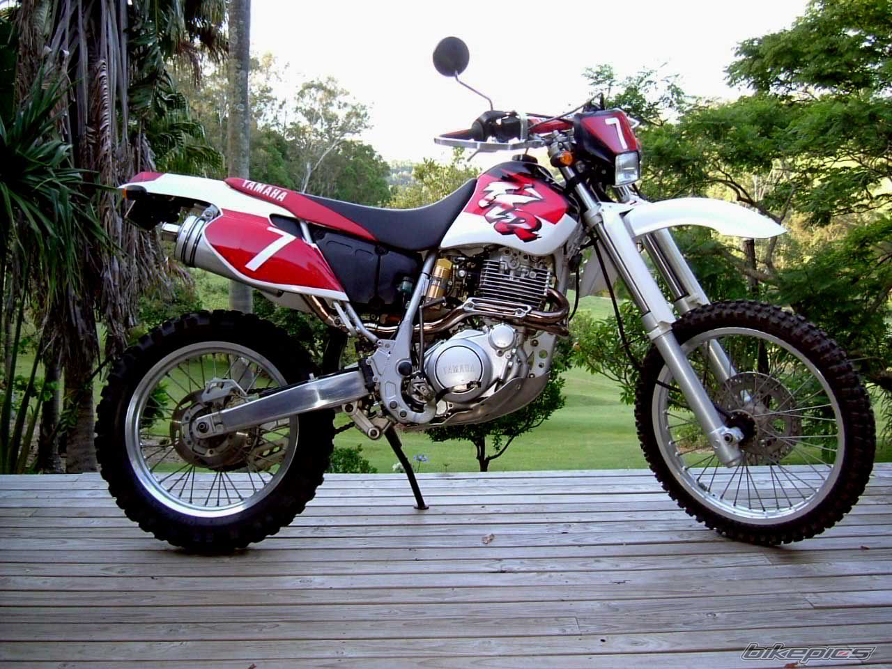 Photo 1105471