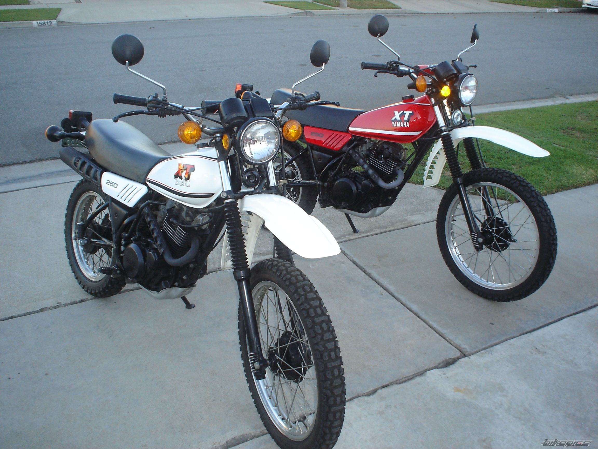 Photo 1105487