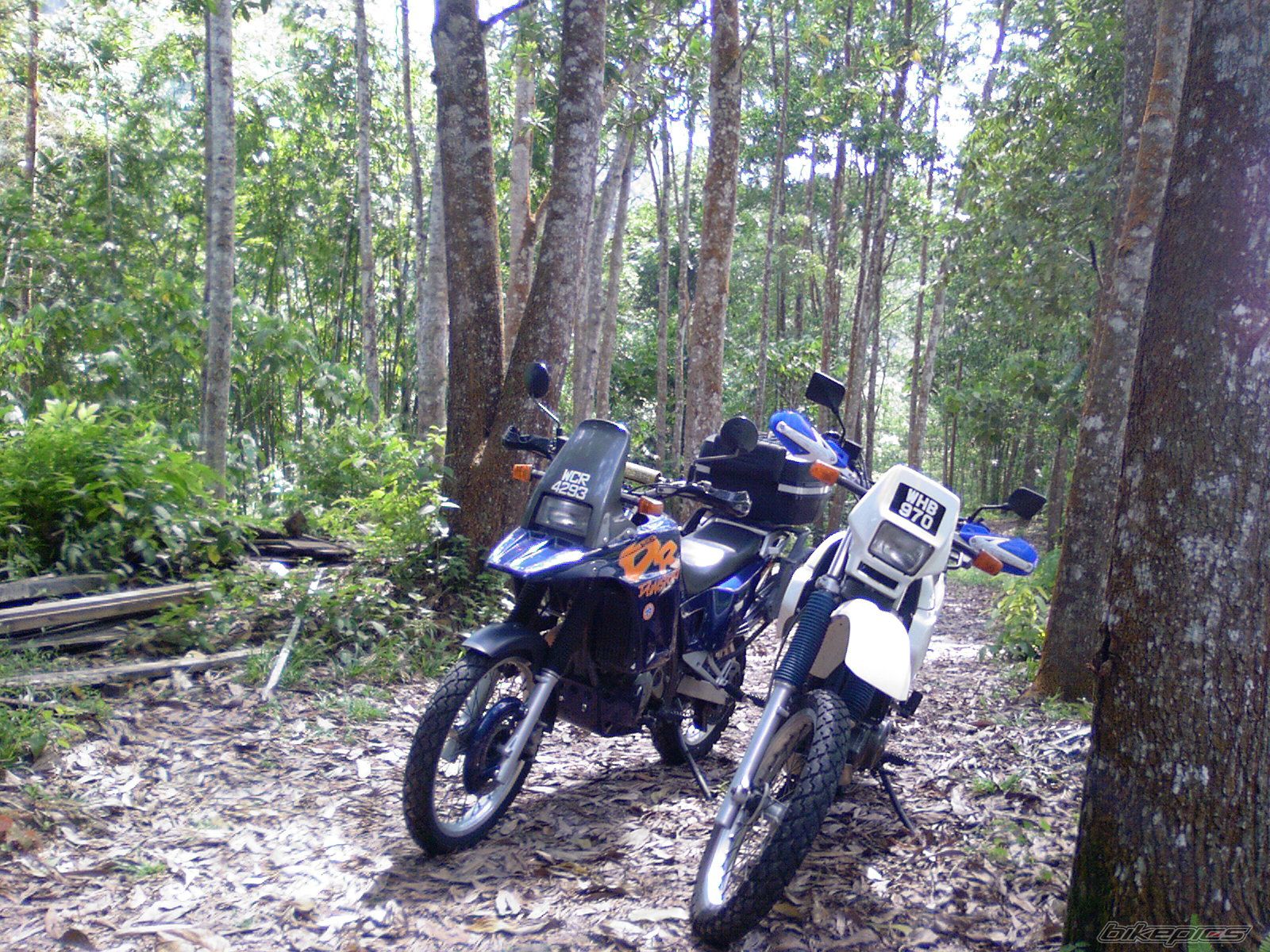 Photo 1105566