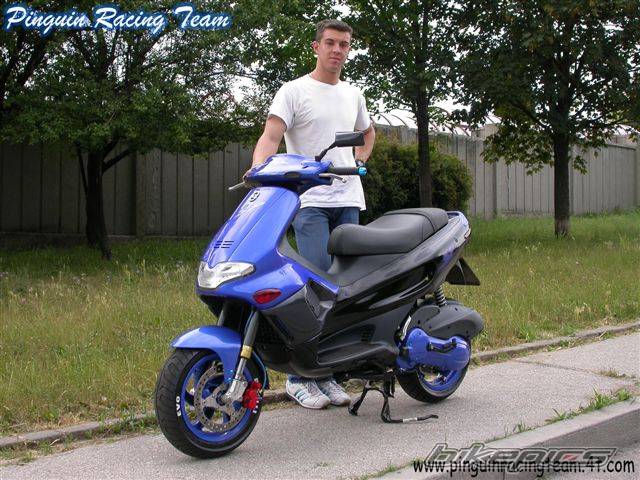 Photo 110562