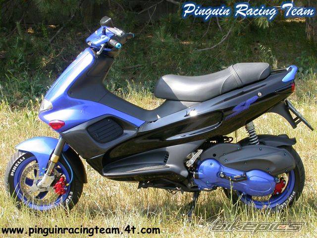 Photo 110566
