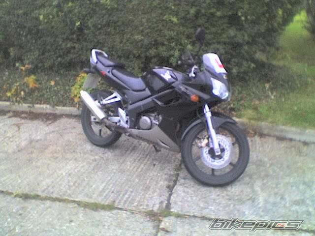 Photo 1105746