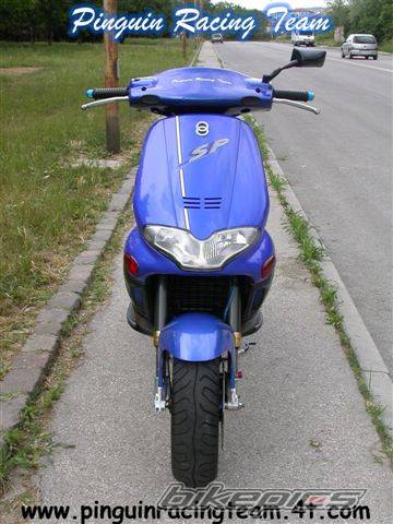 Photo 110575