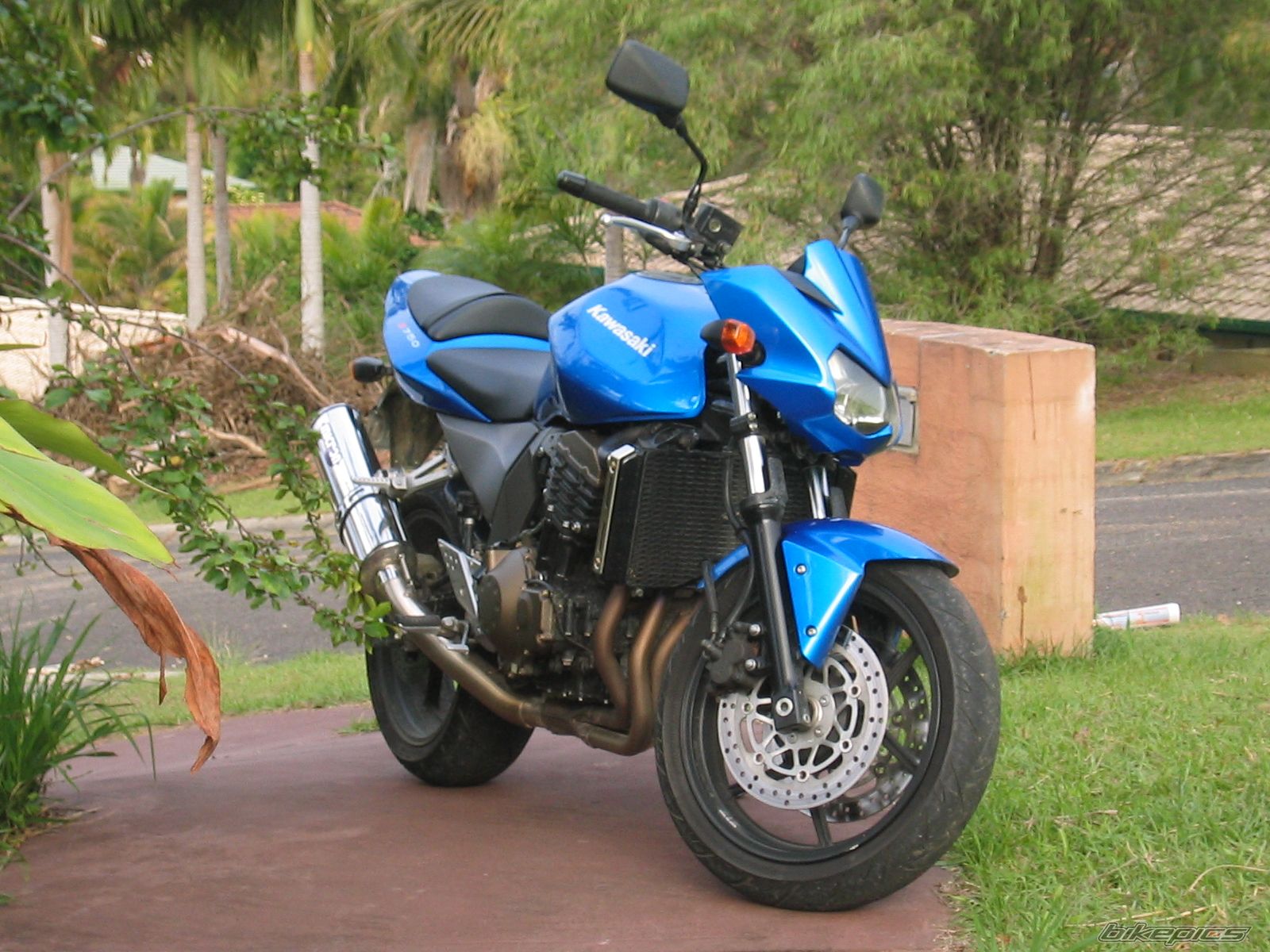Photo 1105773