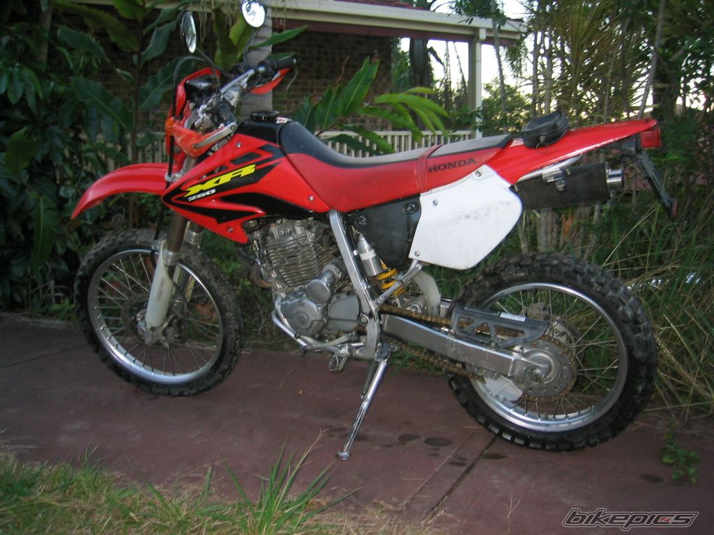 Photo 1105776