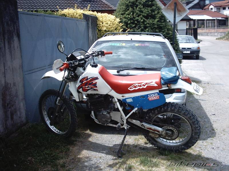 Photo 110579