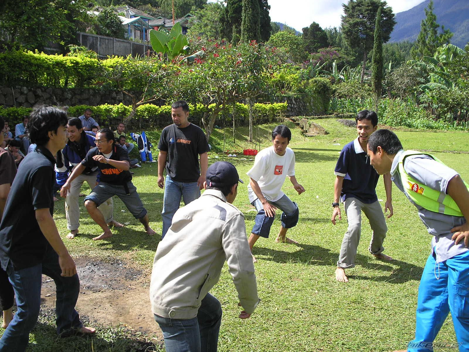 Photo 1105807