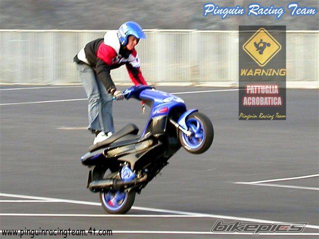 Photo 110587