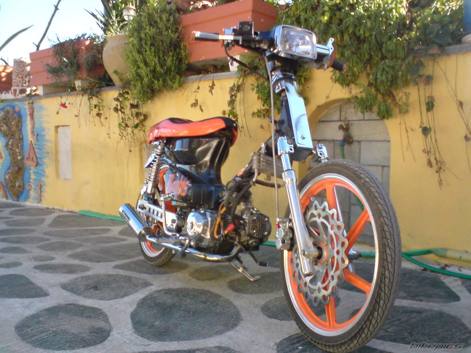Photo 1105893