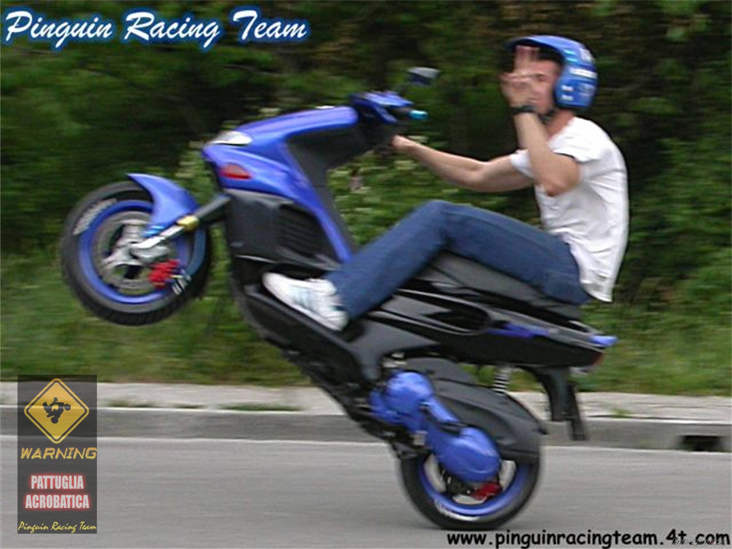 Photo 110595