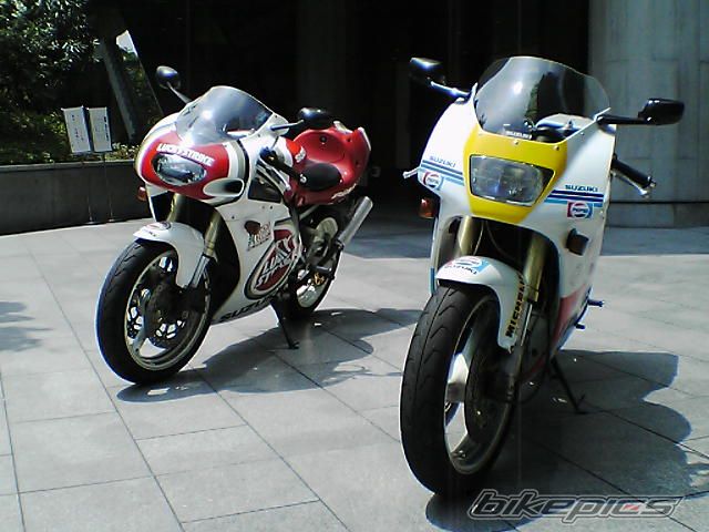 Photo 1106005